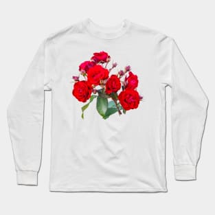 Red red roses Long Sleeve T-Shirt
